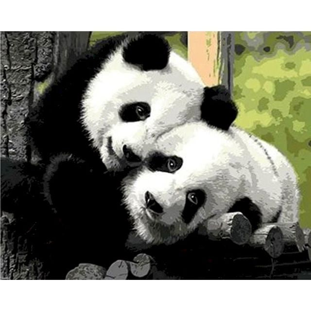 Adorable Panda 'Clingy Couple' Paint By Numbers Kit