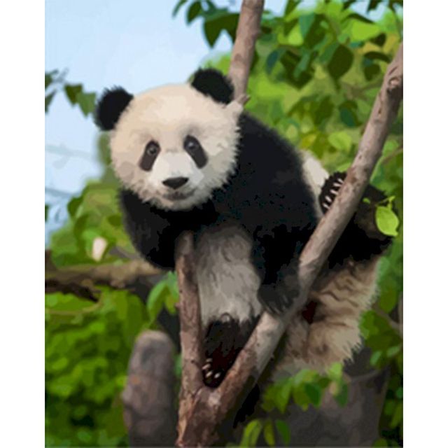 Climbing Panda on Tree Paint By Numbers Kit