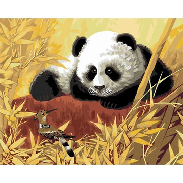 Cute Panda 'Watching Woodpecker' Paint By Numbers Kit
