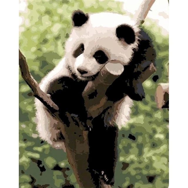 Sleeping Panda On Tree Paint By Numbers Kit