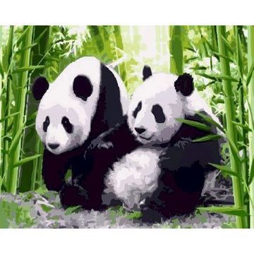 Panda at the Bamboo Forest Paint By Numbers Kit