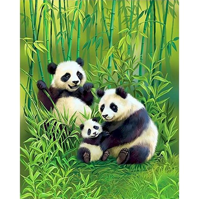 Panda Family 'Bamboo Forest' Paint By Numbers Kit