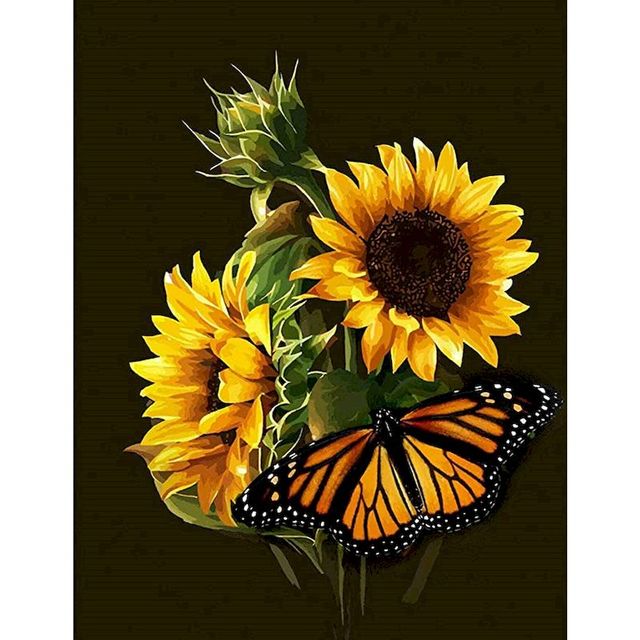 Sunflower 'Butterfly Bloom' Paint By Numbers Kit