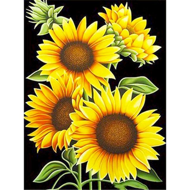 Sunflower 'Sunny Smile' Paint By Numbers Kit