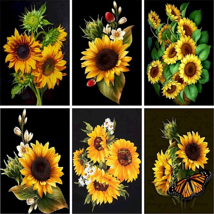 Sunflower 'Dwarf Pacino' Paint By Numbers Kit