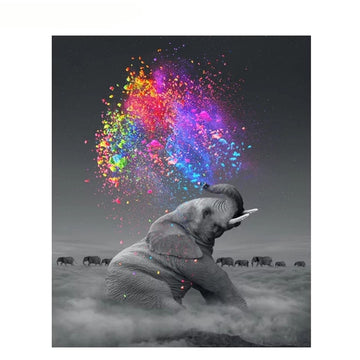 Black and White Elephant with Color Burst Paint By Numbers Kit