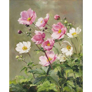 Blooming Pink and White Daisies Paint By Numbers Kit