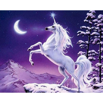 Moonlight Unicorn Paint by Numbers Kit