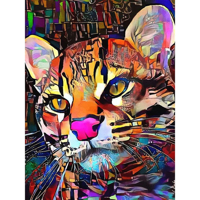 Abstract Animal 'Confused Tiger Paint By NumbersKit