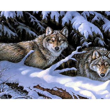 Timber Wolf Paint by Numbers Kit