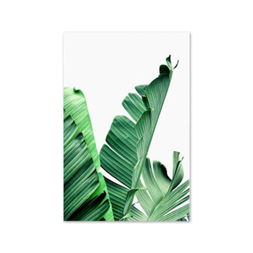 Green Plants 'Tropical Banana Leaves' Paint by Numbers Kit