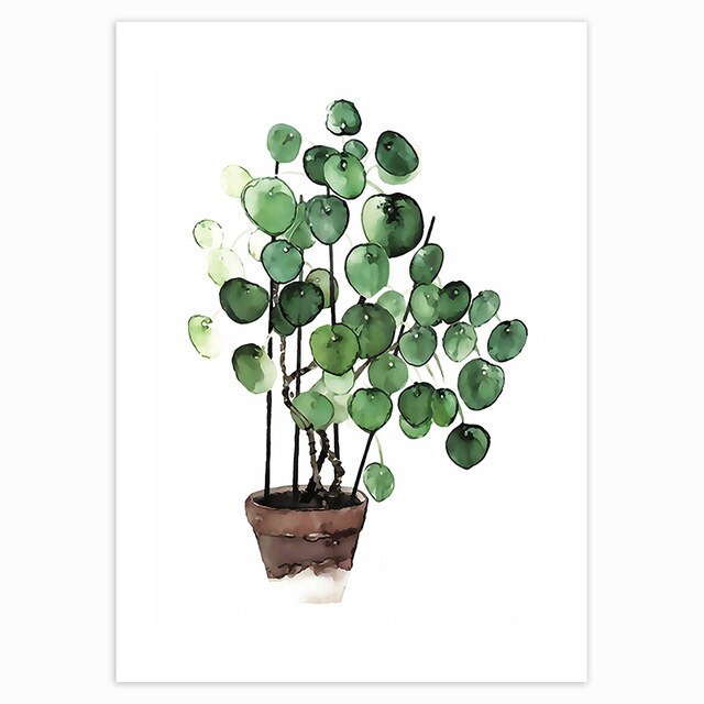 Green Plants 'Chinese Money Plant' Paint by Numbers Kit