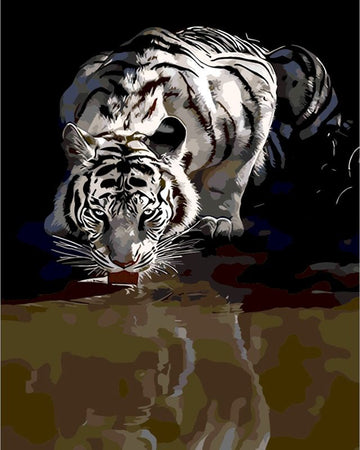 Various Animal Reflections 'Tiger' Paint By Numbers Kit