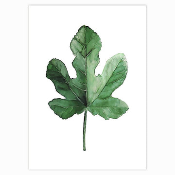 Green Plants 'Fig Leaf' Paint by Numbers Kit