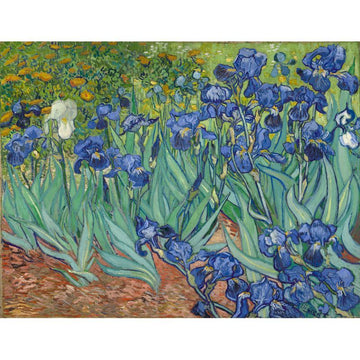 Van Gogh 'Irises' Paintings Paint by Numbers Kit.