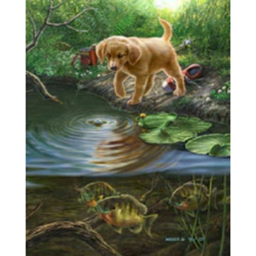 Various Animal Reflections 'Dog and Fish' Paint By Numbers Kit