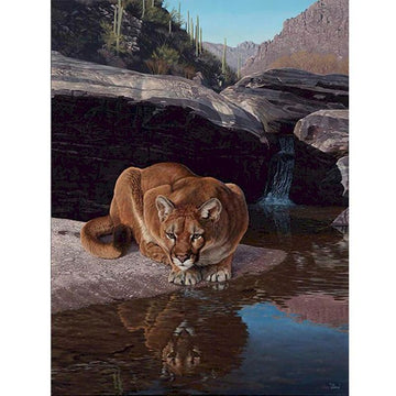 Various Animal Reflections 'Cougar' Paint By Numbers Kit