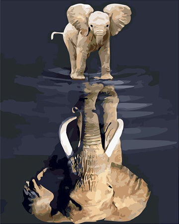 Various Animal Reflections 'Elephant' Paint By Numbers Kit.