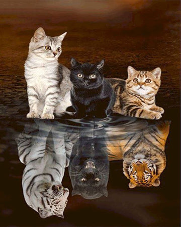 Various Animal Reflections 'Kittens to Tiger, Panther & White Tiger' Paint By Numbers Kit