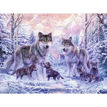 Arctic Wolf Family Paint by Numbers Kit