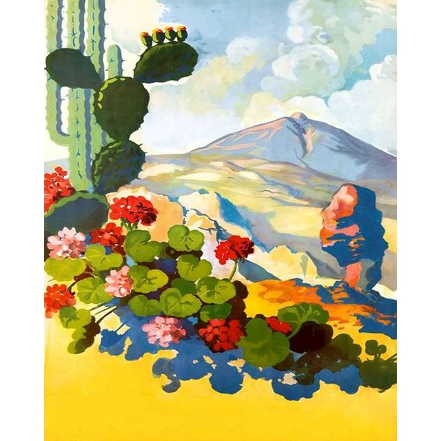 Springtime in Arizona in Watercolor Paint by Numbers Kit