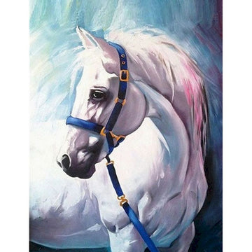 Horse Portrait 'White Horse' Paint by Numbers Kit