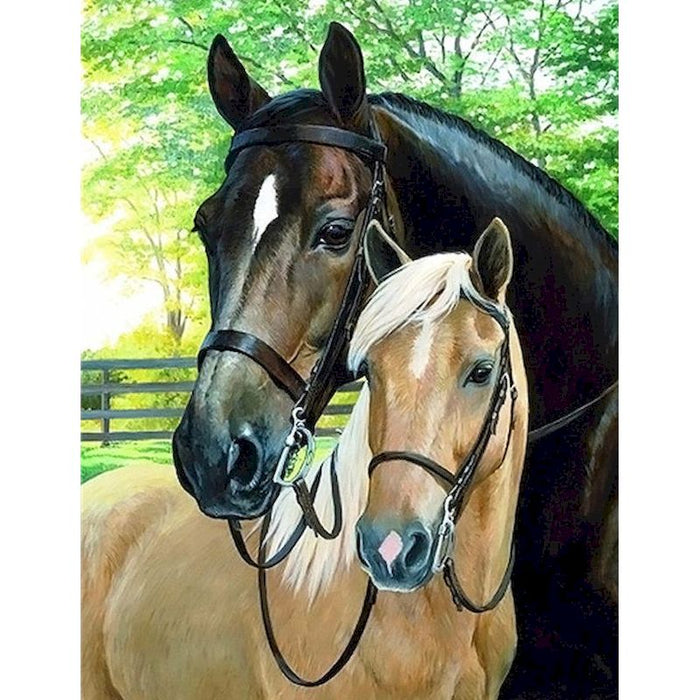 Horse Portrait 'Loving Couples' Paint by Numbers Kit
