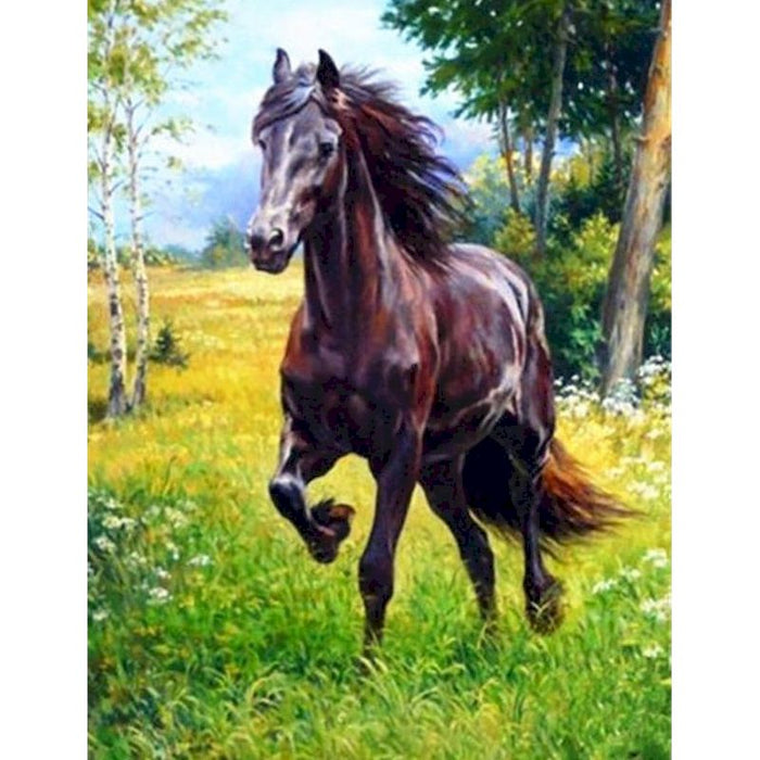 Horse Portrait 'Steed Horse' Paint by Numbers Kit