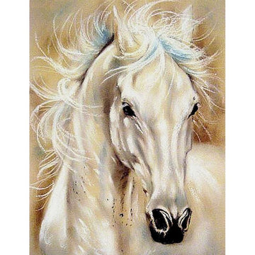 Horse Portrait Paint by Numbers Kit