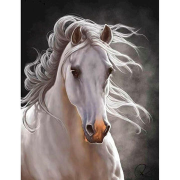 Horse Portrait 'White Beauty' Paint by Numbers Kit