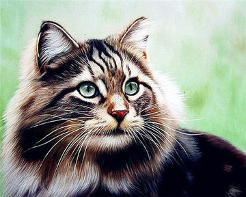 Beautiful Animals 'Adorable Cat' Paint by Numbers Kit