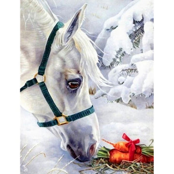 Horse Portrait 'Horse in Snow' Paint by Numbers Kit