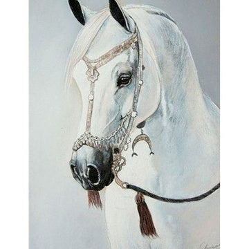 Horse Portrait 'Arabian' Paint by Numbers Kit