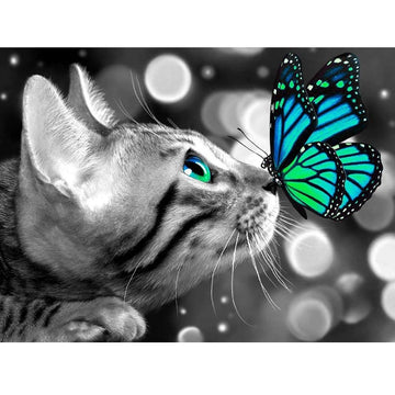 Beautiful Animals 'Butterfly & Cat' Paint by Numbers Kit