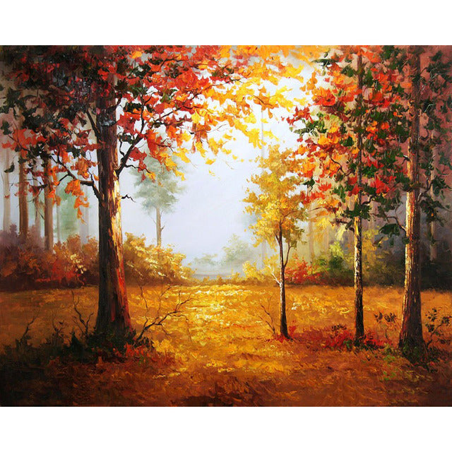 Morning Sun and Trees Paint By Numbers Kit