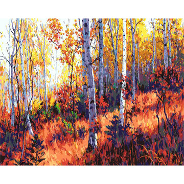 Sunrise on the Woods Paint By Numbers Kit