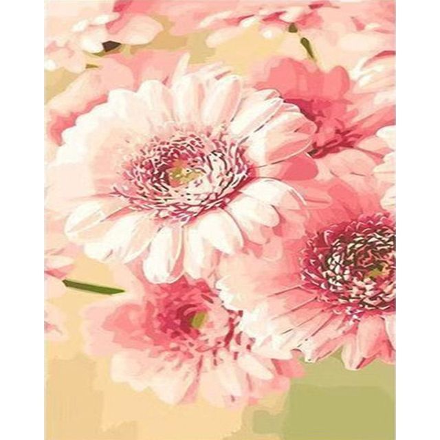 Pink Gerbera Paint By Numbers Kit