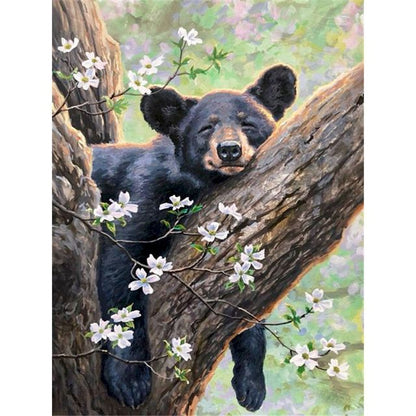 Cute Lazy Black Bear Paint By Numbers Kit