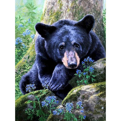 Loner Black Bear Paint By Numbers Kit