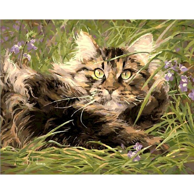 Maine Coon Grass Field Paint By Numbers Kit