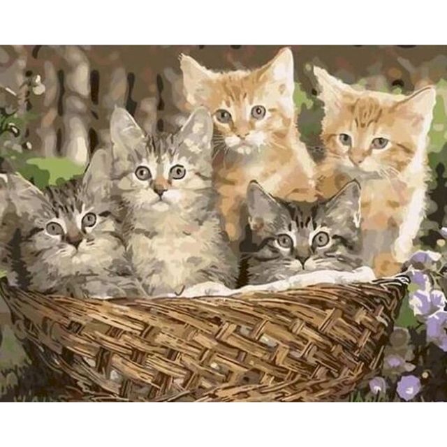 Persian Cat 'Kittens In A Basket' Paint By Numbers Kit