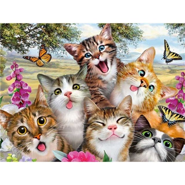Cute Cats 'Wacky Shot' Paint By Numbers Kit