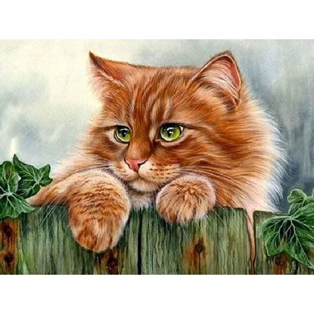 Norwegian Forest Cat 'Sneaky Time' Paint By Numbers Kit
