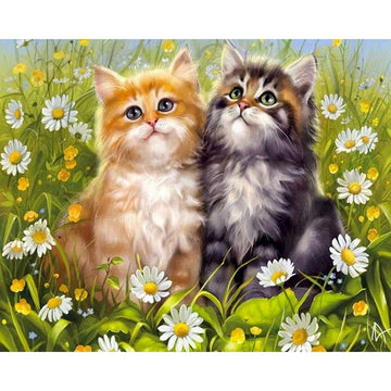 Persian Cat 'Lovely Daisy' Paint By Numbers Kit