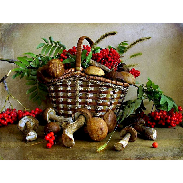 Fresh Cranberries and Mushroom Paint By Numbers Kit