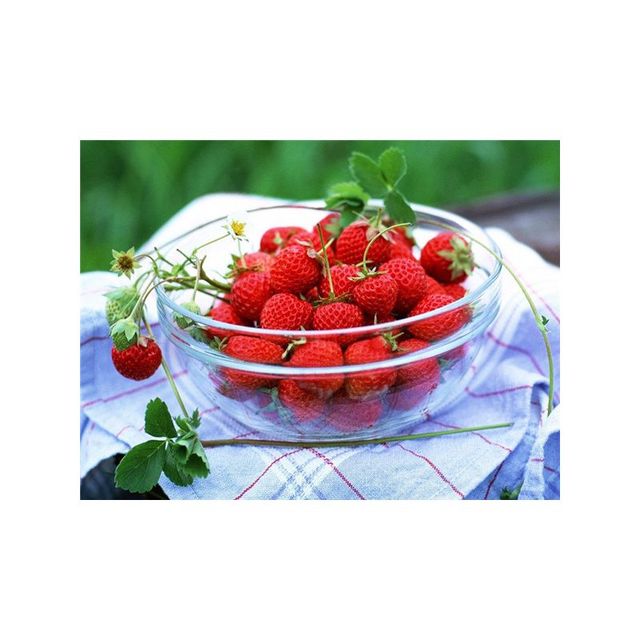 Bowl of Strawberries Paint By Numbers Kit