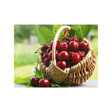 Basket of Cherries Paint By Numbers Kit