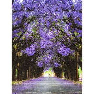 Blue Jacaranda Tree 'Flower Trail' Paint By Numbers Kit