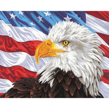 American Eagle 'USA Flag' Paint By Numbers Kit