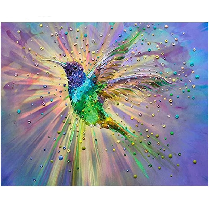 Hummingbird 'Astonishing Energy' Paint By Numbers Kit